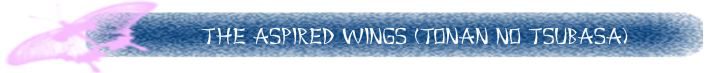 The Aspired Wings 